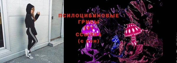 прущий лед Алексин