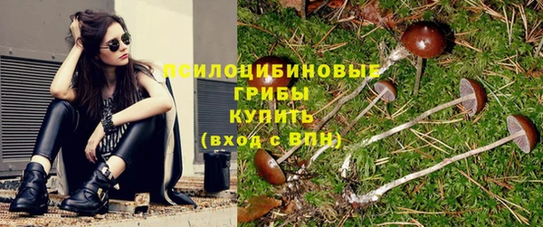 прущий лед Алексин